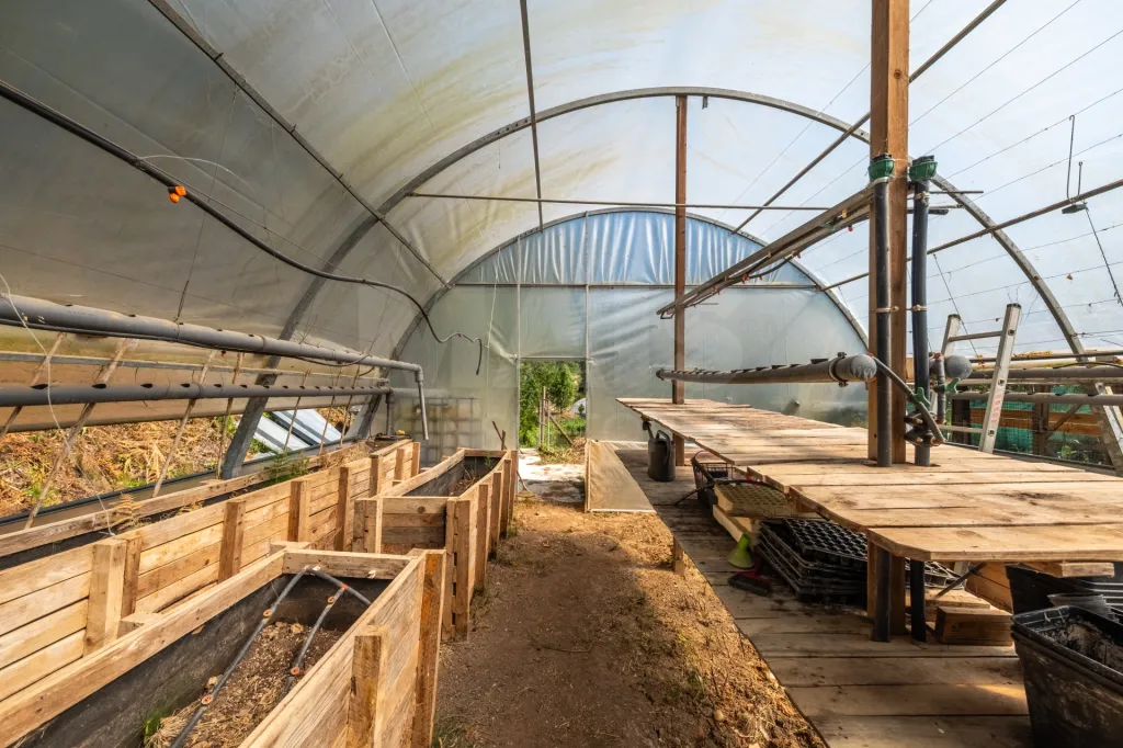 Terreno em Nossa Senhora do Pópulo, Coto e São Gregório: Terreno Agrícola na Fanadia | 16.100 m² de Potencial e Infraestruturas Preparadas (10 de 43)