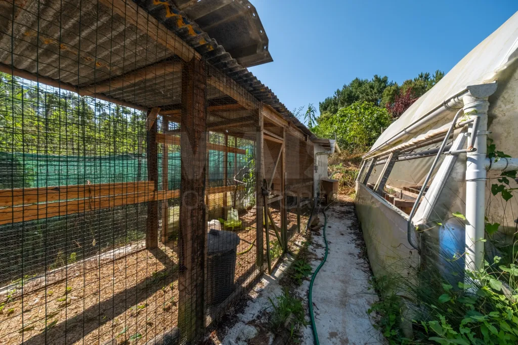 Terreno em Nossa Senhora do Pópulo, Coto e São Gregório: Terreno Agrícola na Fanadia | 16.100 m² de Potencial e Infraestruturas Preparadas (11 de 43)