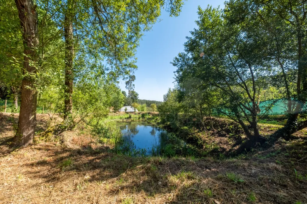 Terreno em Nossa Senhora do Pópulo, Coto e São Gregório: Terreno Agrícola na Fanadia | 16.100 m² de Potencial e Infraestruturas Preparadas (13 de 43)