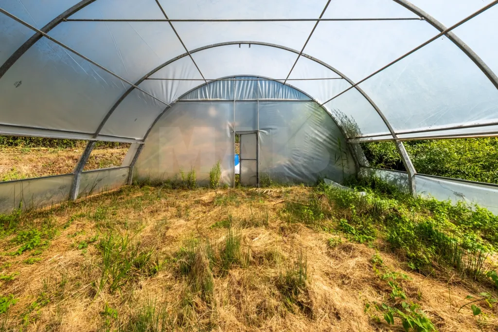 Terreno em Nossa Senhora do Pópulo, Coto e São Gregório: Terreno Agrícola na Fanadia | 16.100 m² de Potencial e Infraestruturas Preparadas (18 de 43)