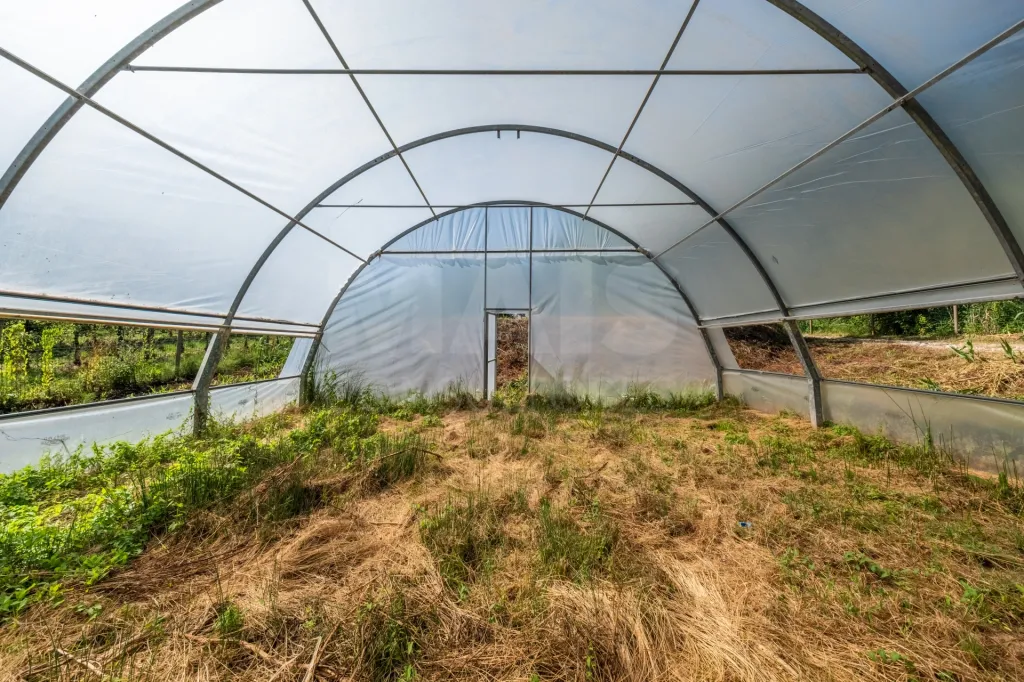 Terreno em Nossa Senhora do Pópulo, Coto e São Gregório: Terreno Agrícola na Fanadia | 16.100 m² de Potencial e Infraestruturas Preparadas (19 de 43)