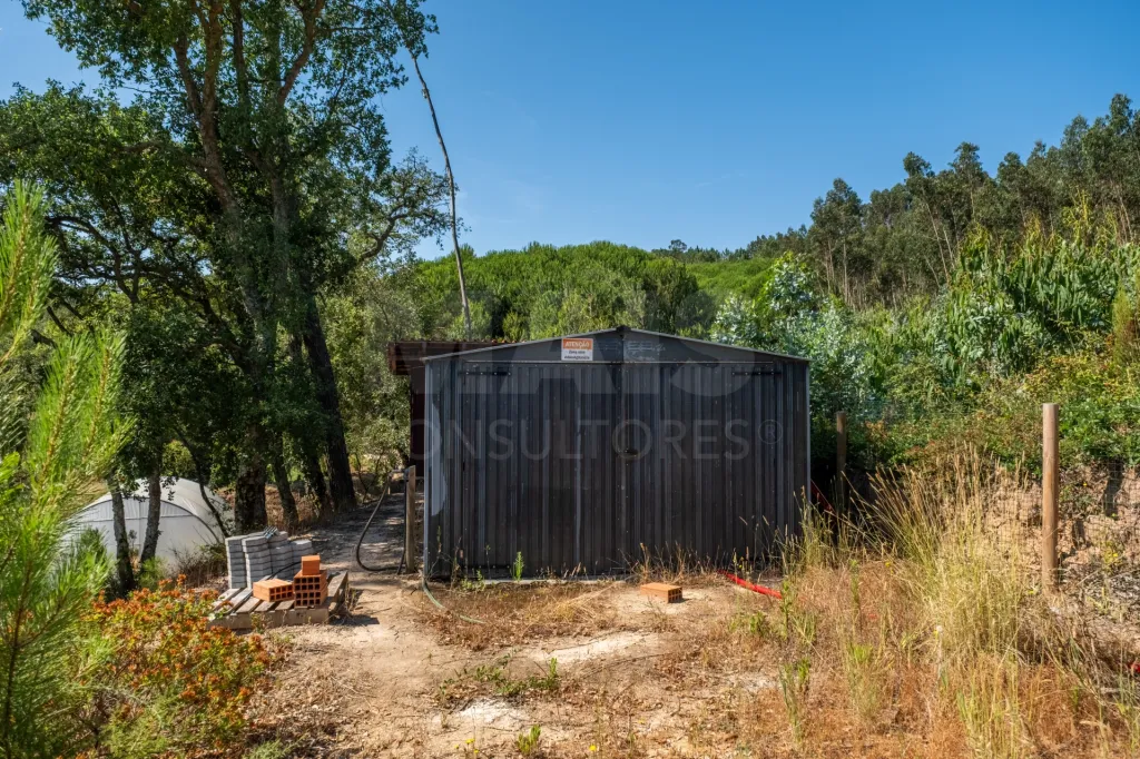 Terreno em Nossa Senhora do Pópulo, Coto e São Gregório: Terreno Agrícola na Fanadia | 16.100 m² de Potencial e Infraestruturas Preparadas (24 de 43)