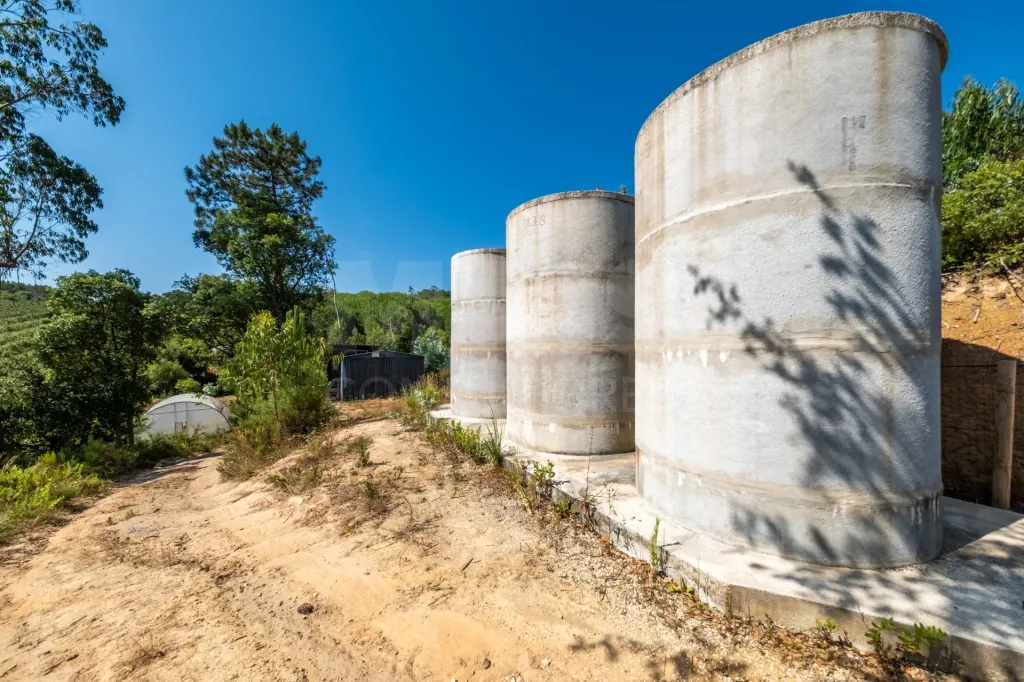Terreno em Nossa Senhora do Pópulo, Coto e São Gregório: Terreno Agrícola na Fanadia | 16.100 m² de Potencial e Infraestruturas Preparadas (25 de 43)