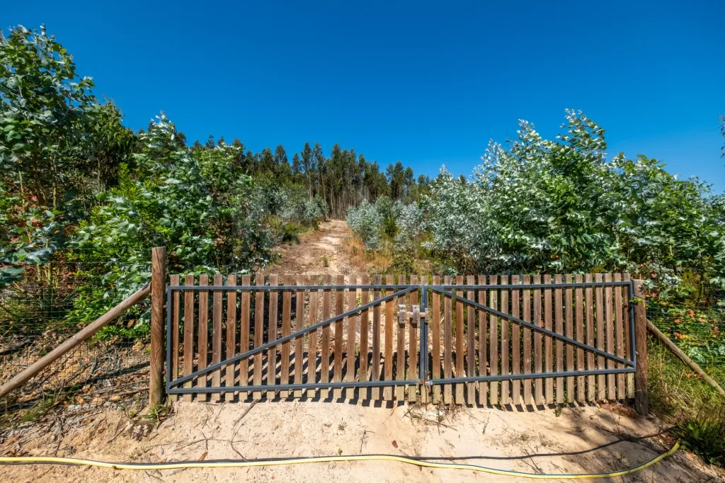 Terreno em Nossa Senhora do Pópulo, Coto e São Gregório: Terreno Agrícola na Fanadia | 16.100 m² de Potencial e Infraestruturas Preparadas (26 de 43)