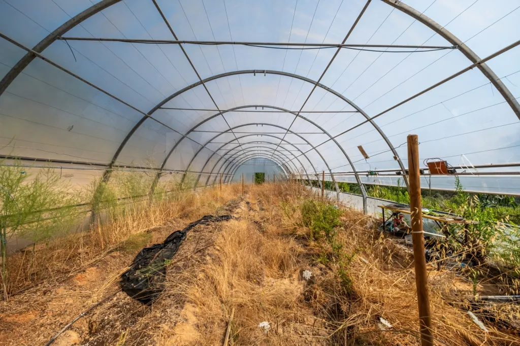 Terreno em Nossa Senhora do Pópulo, Coto e São Gregório: Terreno Agrícola na Fanadia | 16.100 m² de Potencial e Infraestruturas Preparadas (27 de 43)