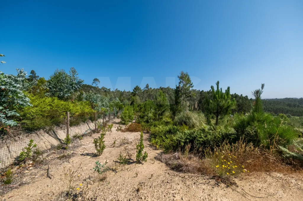 Terreno em Nossa Senhora do Pópulo, Coto e São Gregório: Terreno Agrícola na Fanadia | 16.100 m² de Potencial e Infraestruturas Preparadas (29 de 43)