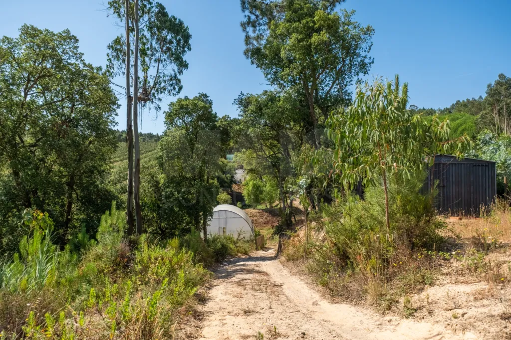 Terreno em Nossa Senhora do Pópulo, Coto e São Gregório: Terreno Agrícola na Fanadia | 16.100 m² de Potencial e Infraestruturas Preparadas (30 de 43)