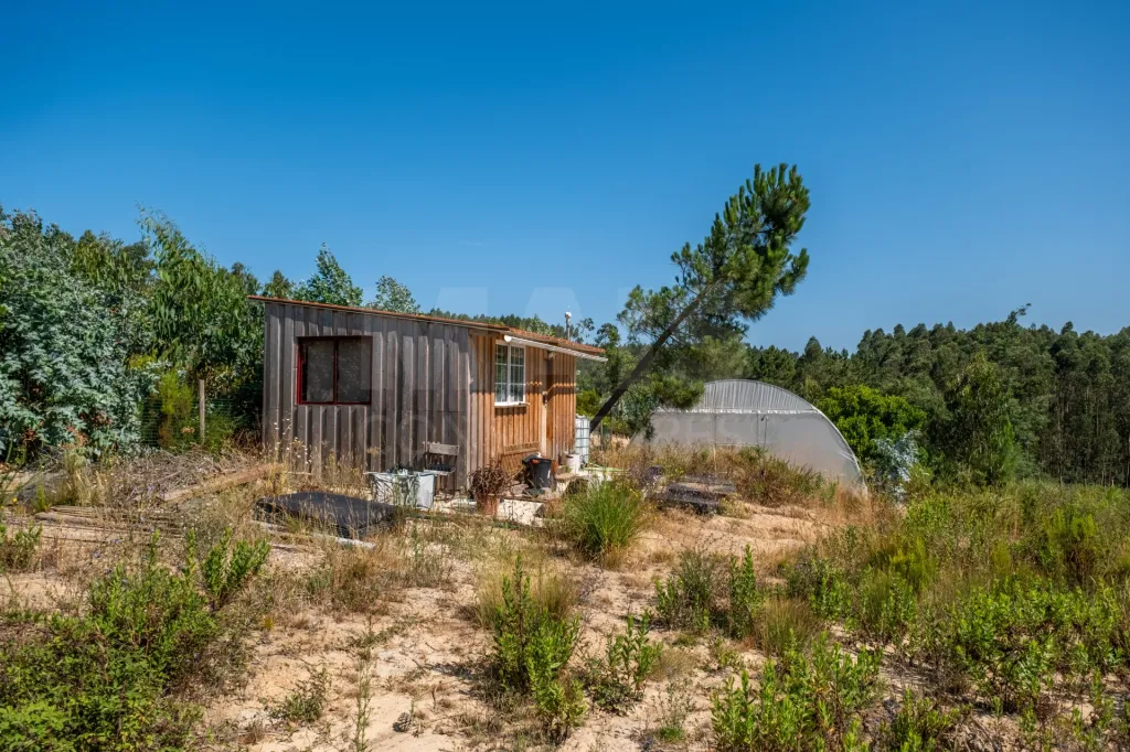 Terreno em Nossa Senhora do Pópulo, Coto e São Gregório: Terreno Agrícola na Fanadia | 16.100 m² de Potencial e Infraestruturas Preparadas (31 de 43)