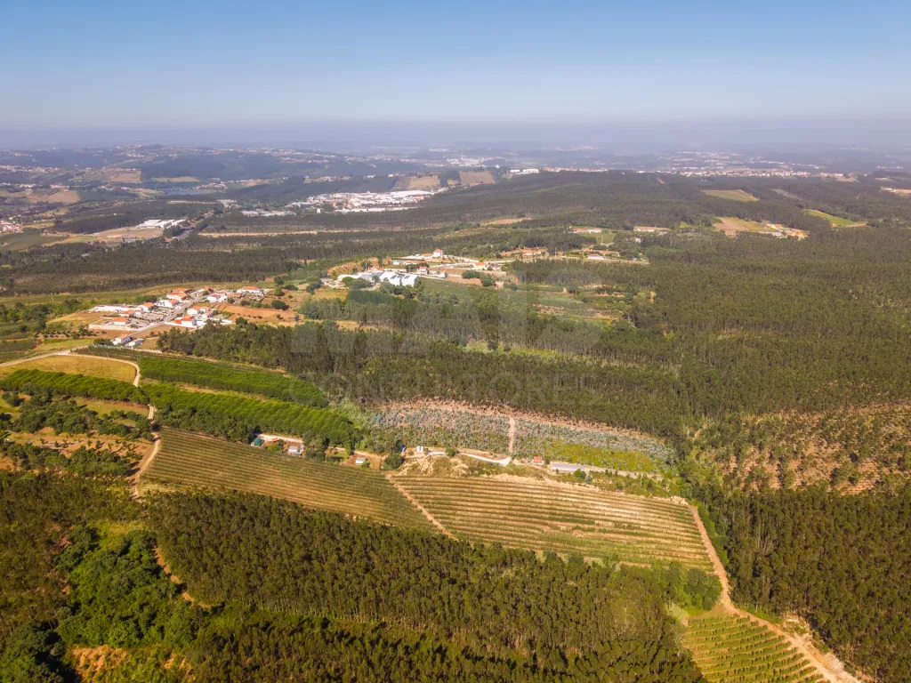 Terreno em Nossa Senhora do Pópulo, Coto e São Gregório: Terreno Agrícola na Fanadia | 16.100 m² de Potencial e Infraestruturas Preparadas (36 de 43)