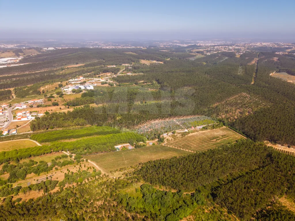 Terreno em Nossa Senhora do Pópulo, Coto e São Gregório: Terreno Agrícola na Fanadia | 16.100 m² de Potencial e Infraestruturas Preparadas (37 de 43)