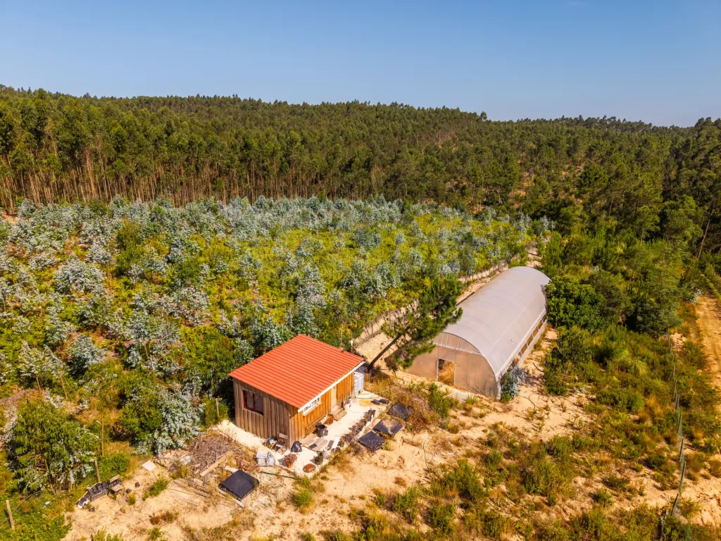 Terreno em Nossa Senhora do Pópulo, Coto e São Gregório: Terreno Agrícola na Fanadia | 16.100 m² de Potencial e Infraestruturas Preparadas (42 de 43)