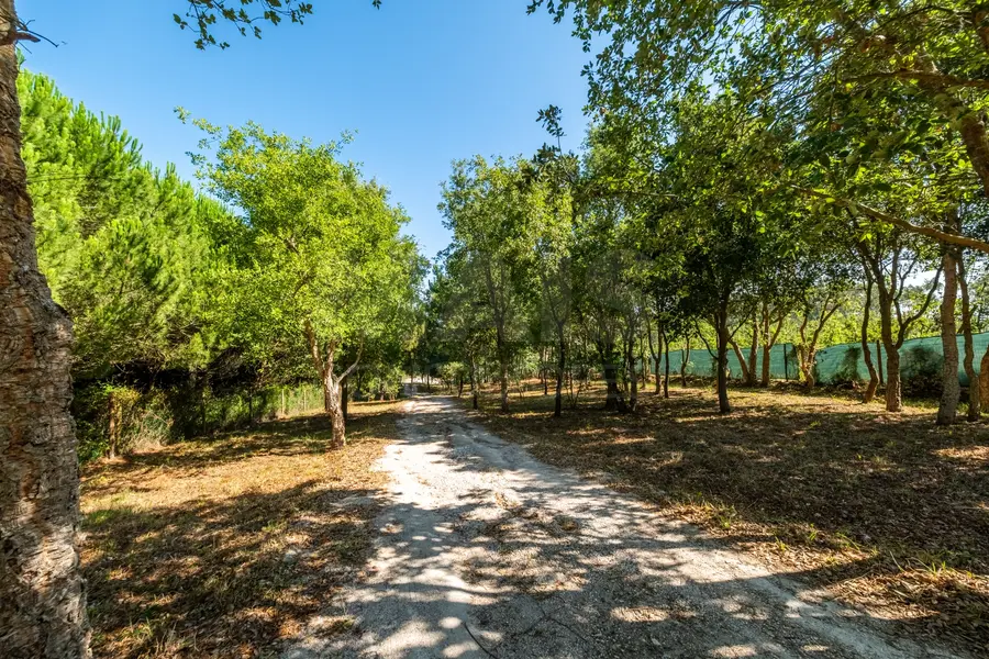 Terreno em Nossa Senhora do Pópulo, Coto e São Gregório: Terreno Agrícola na Fanadia | 16.100 m² de Potencial e Infraestruturas Preparadas