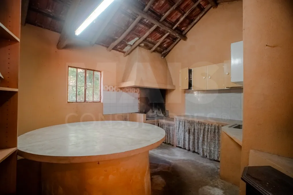 Moradia em Vidais: Quintinha T3 com 7.616 m² de terreno urbano e anexos (Casal do Rei) (16 de 38)