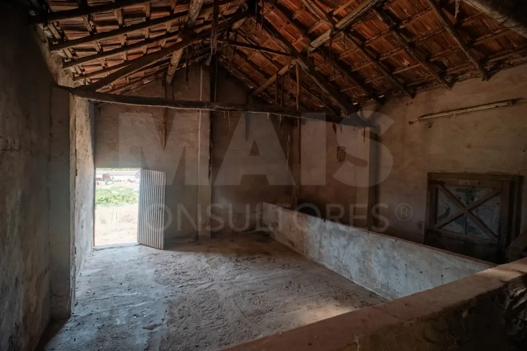 Moradia em Vidais: Quintinha T3 com 7.616 m² de terreno urbano e anexos (Casal do Rei) (24 de 38)