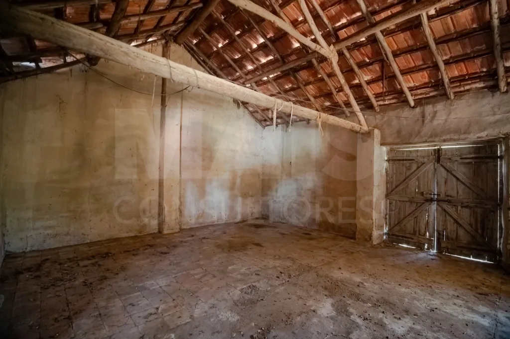 Moradia em Vidais: Quintinha T3 com 7.616 m² de terreno urbano e anexos (Casal do Rei) (26 de 38)
