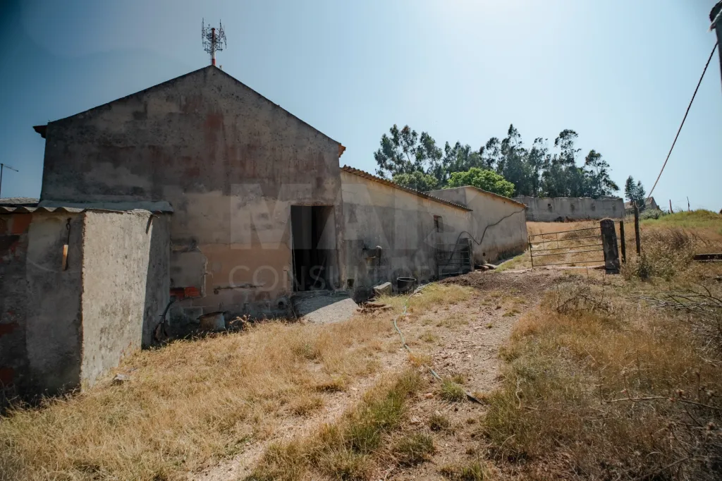 Moradia em Vidais: Quintinha T3 com 7.616 m² de terreno urbano e anexos (Casal do Rei) (29 de 38)