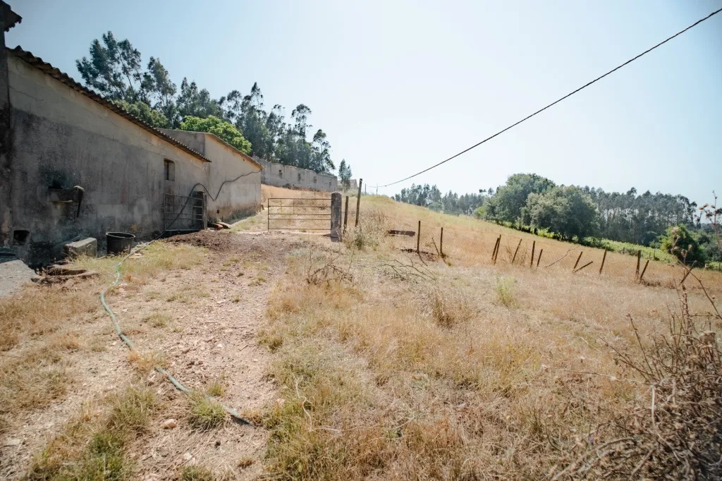 Moradia em Vidais: Quintinha T3 com 7.616 m² de terreno urbano e anexos (Casal do Rei) (30 de 38)