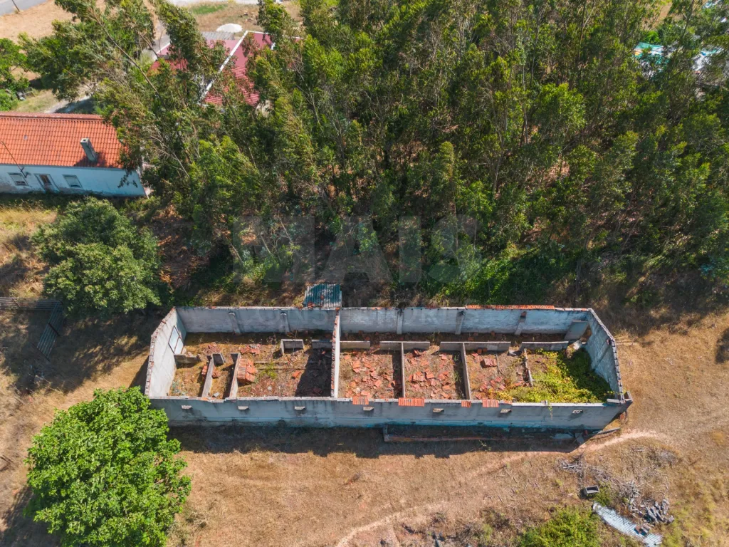 Moradia em Vidais: Quintinha T3 com 7.616 m² de terreno urbano e anexos (Casal do Rei) (31 de 38)