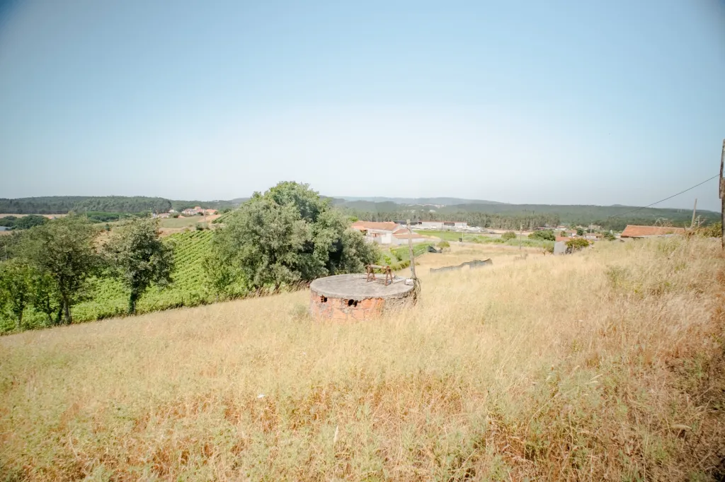 Moradia em Vidais: Quintinha T3 com 7.616 m² de terreno urbano e anexos (Casal do Rei) (36 de 38)