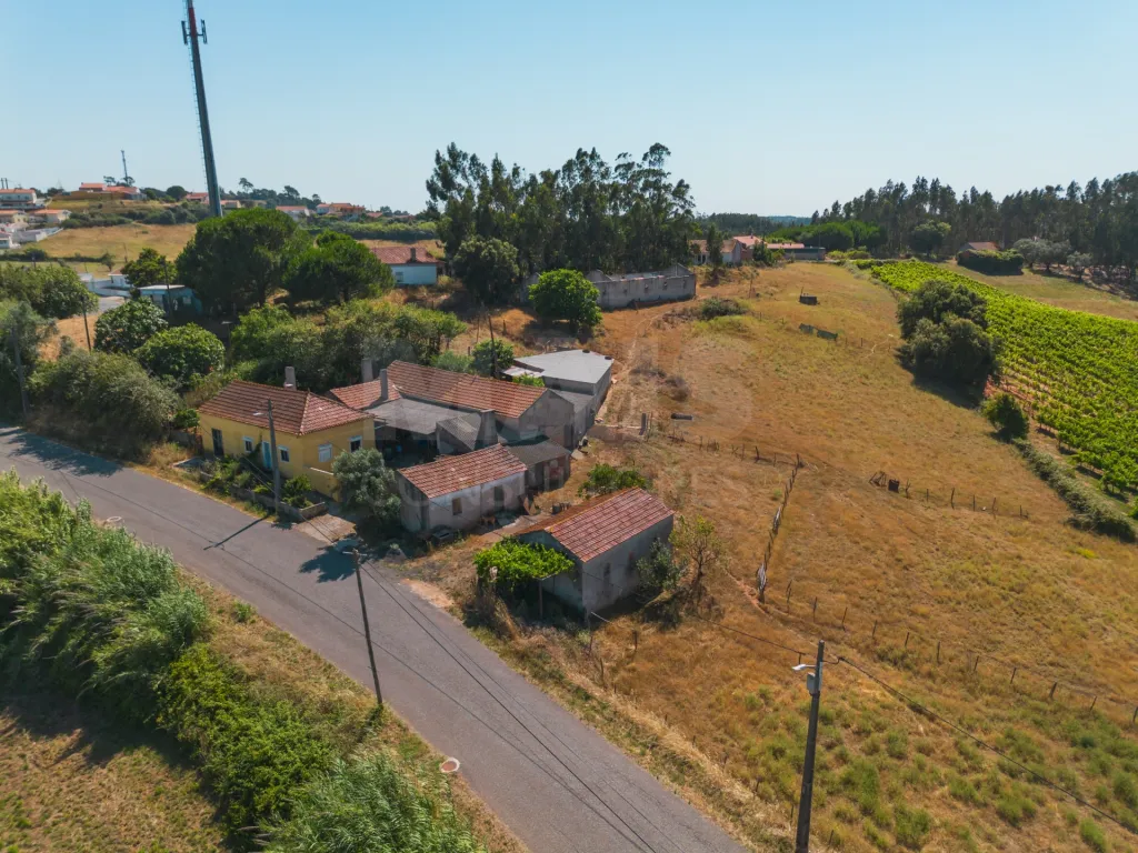Moradia em Vidais: Quintinha T3 com 7.616 m² de terreno urbano e anexos (Casal do Rei) (37 de 38)