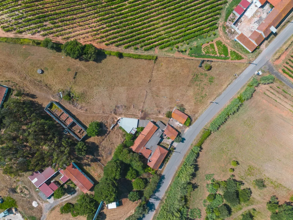 Moradia em Vidais: Quintinha T3 com 7.616 m² de terreno urbano e anexos (Casal do Rei) (38 de 38)