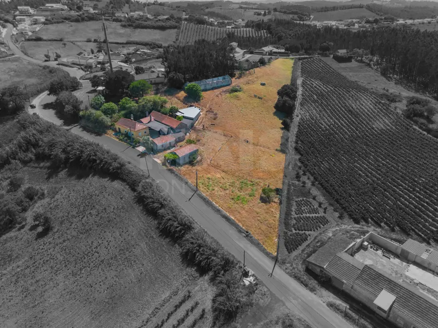 Moradia em Vidais: Quintinha T3 com 7.616 m² de terreno urbano e anexos (Casal do Rei)