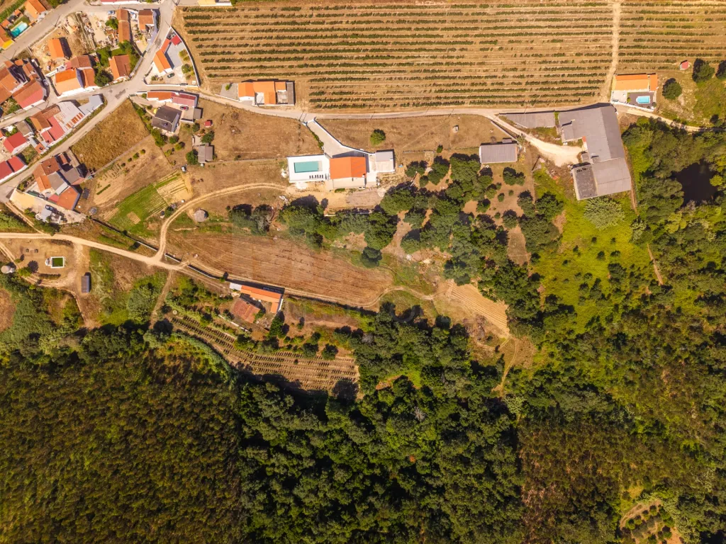 Quinta em Nossa Senhora do Pópulo, Coto e São Gregório: Quinta com mais de 23.000 m², piscina de água salgada e potencial de construção (44 de 85)