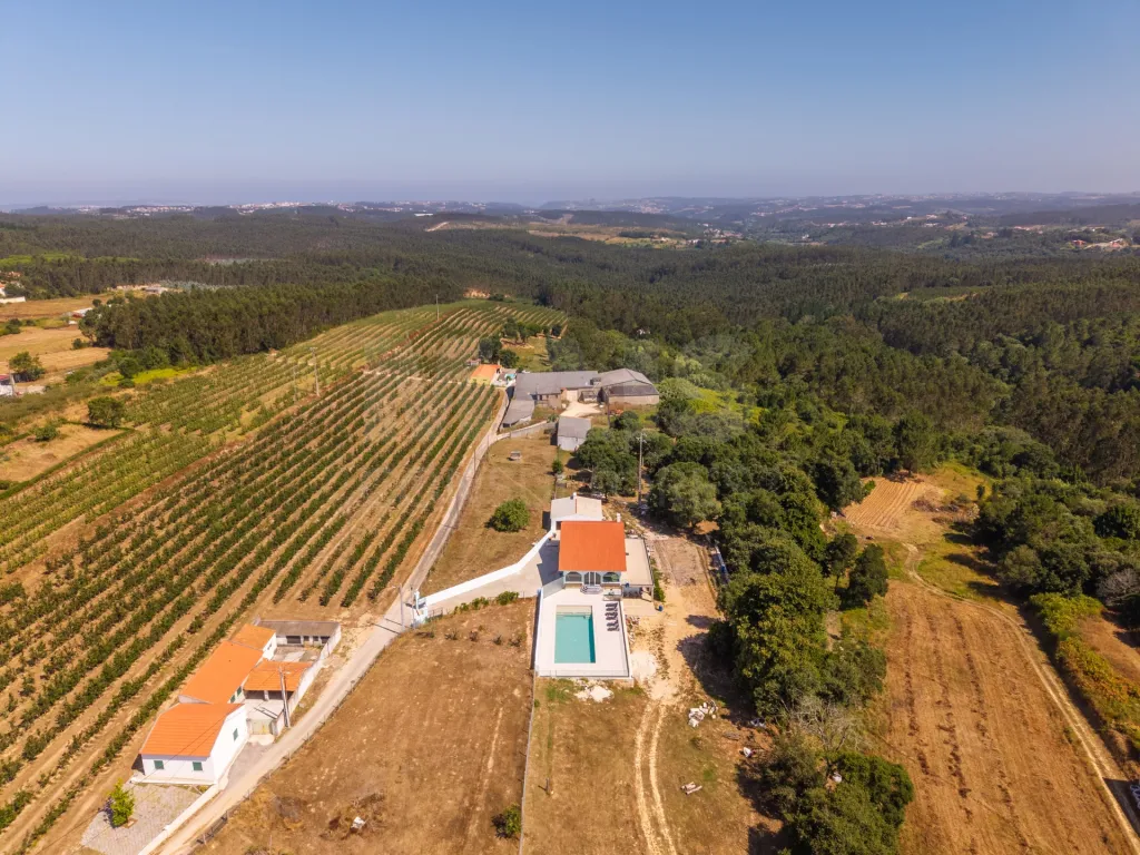 Quinta em Nossa Senhora do Pópulo, Coto e São Gregório: Quinta com mais de 23.000 m², piscina de água salgada e potencial de construção (45 de 85)
