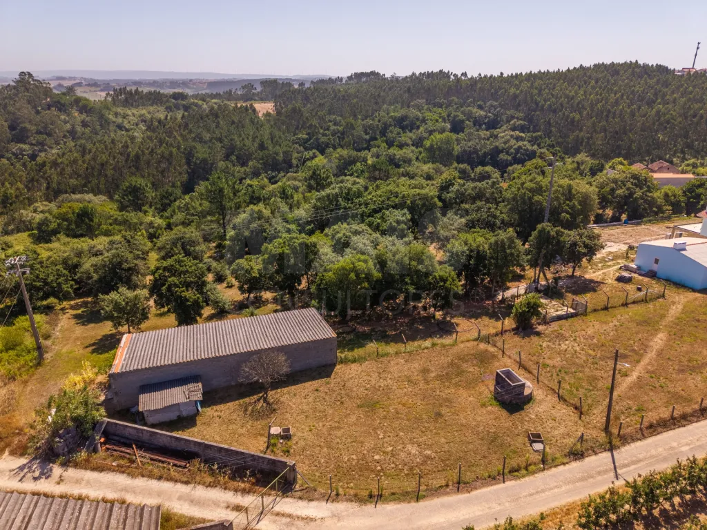 Quinta em Nossa Senhora do Pópulo, Coto e São Gregório: Quinta com mais de 23.000 m², piscina de água salgada e potencial de construção (71 de 85)