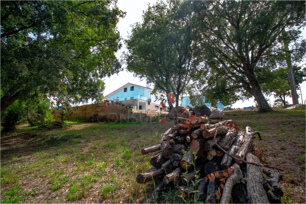 Quinta em Nossa Senhora do Pópulo, Coto e São Gregório: Quinta com mais de 23.000 m², piscina de água salgada e potencial de construção (73 de 85)