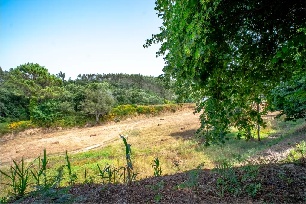 Quinta em Nossa Senhora do Pópulo, Coto e São Gregório: Quinta com mais de 23.000 m², piscina de água salgada e potencial de construção (74 de 85)