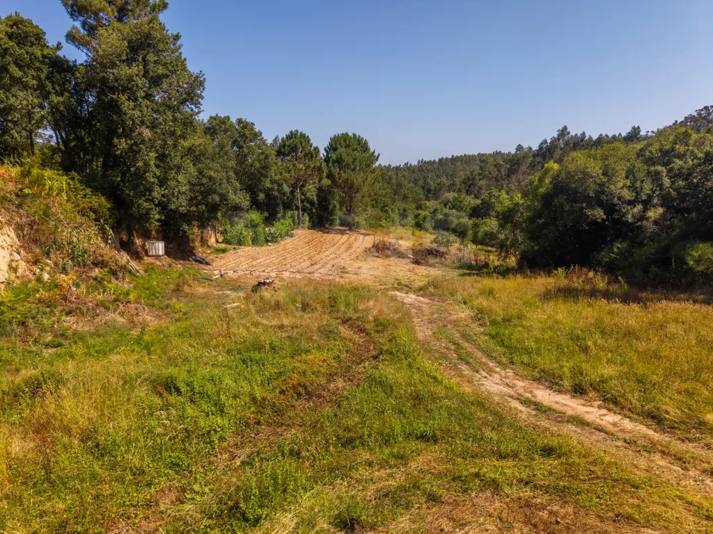 Quinta em Nossa Senhora do Pópulo, Coto e São Gregório: Quinta com mais de 23.000 m², piscina de água salgada e potencial de construção (77 de 85)