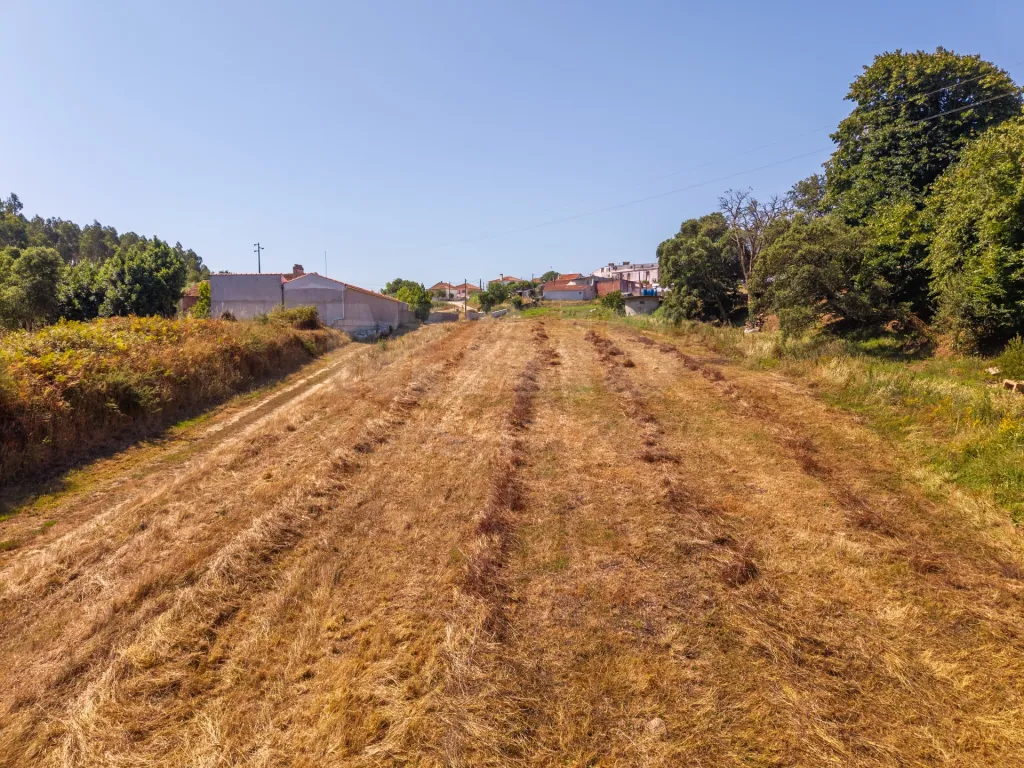 Quinta em Nossa Senhora do Pópulo, Coto e São Gregório: Quinta com mais de 23.000 m², piscina de água salgada e potencial de construção (79 de 85)