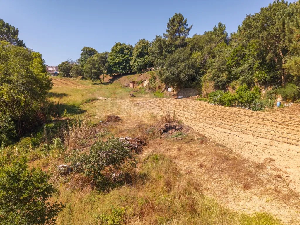 Quinta em Nossa Senhora do Pópulo, Coto e São Gregório: Quinta com mais de 23.000 m², piscina de água salgada e potencial de construção (80 de 85)