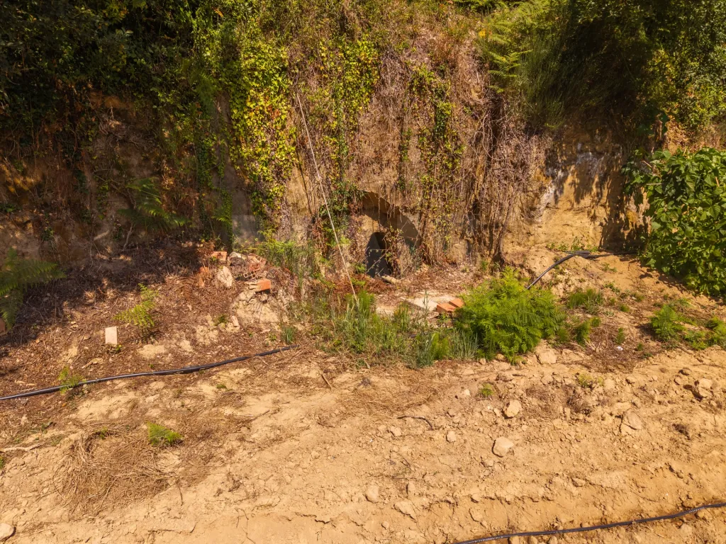 Quinta em Nossa Senhora do Pópulo, Coto e São Gregório: Quinta com mais de 23.000 m², piscina de água salgada e potencial de construção (81 de 85)