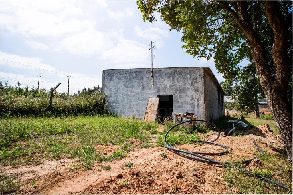 Quinta em Nossa Senhora do Pópulo, Coto e São Gregório: Quinta com mais de 23.000 m², piscina de água salgada e potencial de construção (82 de 85)