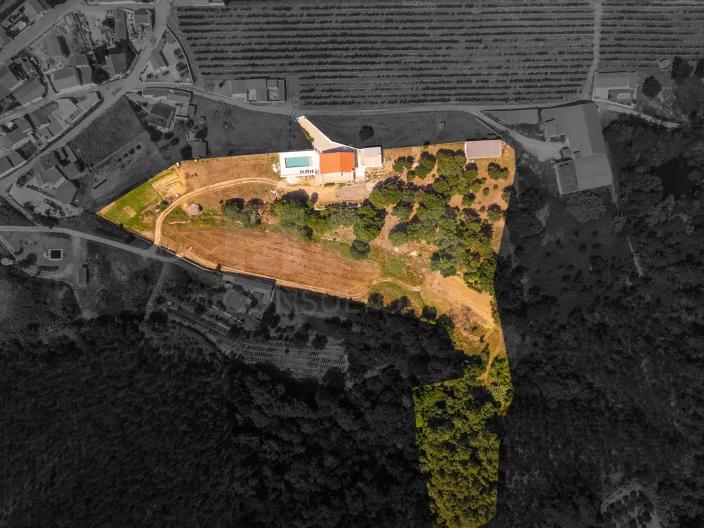 Quinta em Nossa Senhora do Pópulo, Coto e São Gregório: Quinta com mais de 23.000 m², piscina de água salgada e potencial de construção (85 de 85)