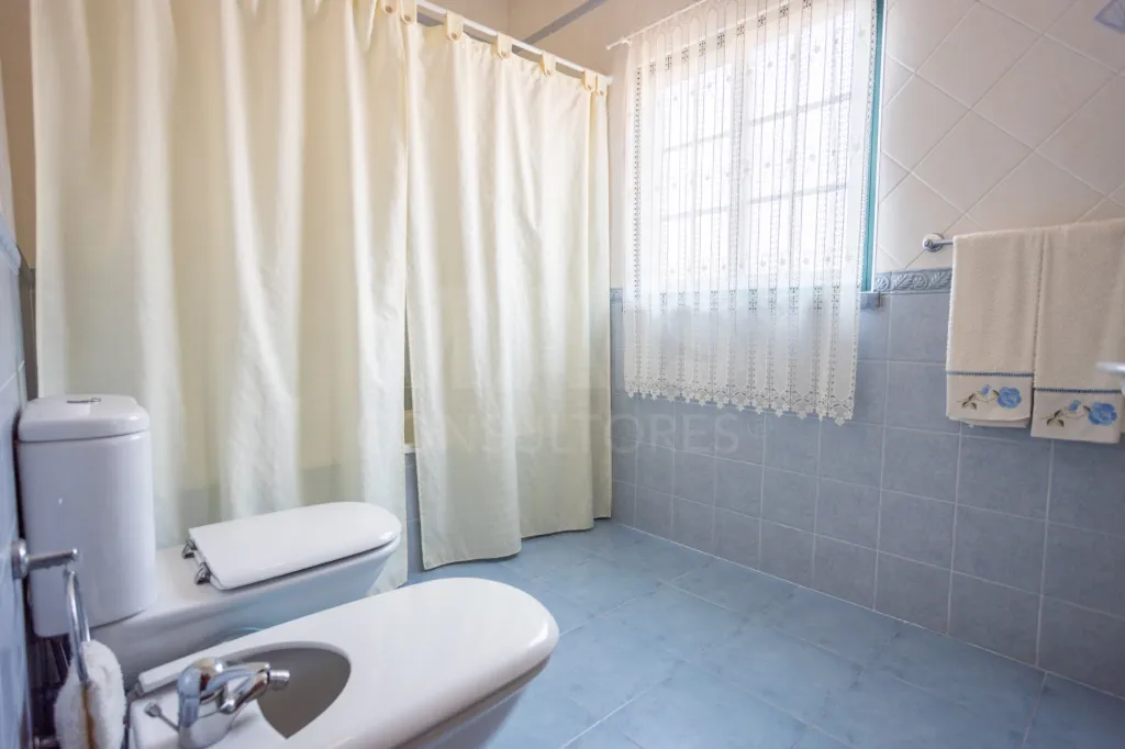 Moradia em Branca: Moradia T3 isolada com Garagem na Branca (21 de 44)
